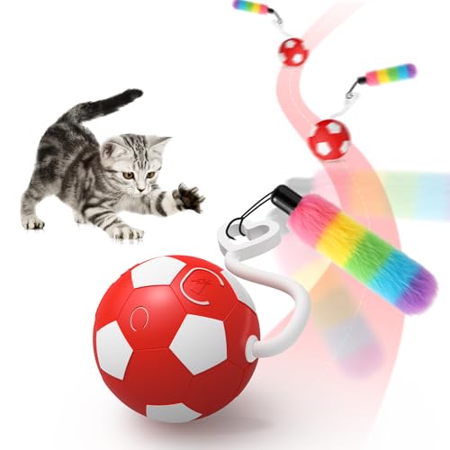 Automatic Cat Toy – Interactive Rolling Ball Toy – True Pet Essentials