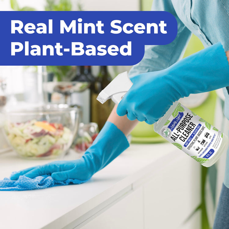 Mighty Mint Stain & Odor Remover from Pets, 16oz