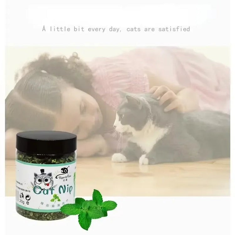 Natural Catnip Grass Mint Interactive Cat Toy Set