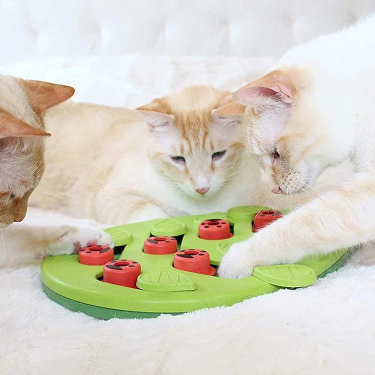 Rainy Day Cat Puzzle Treat Puzzle Scratch Board
