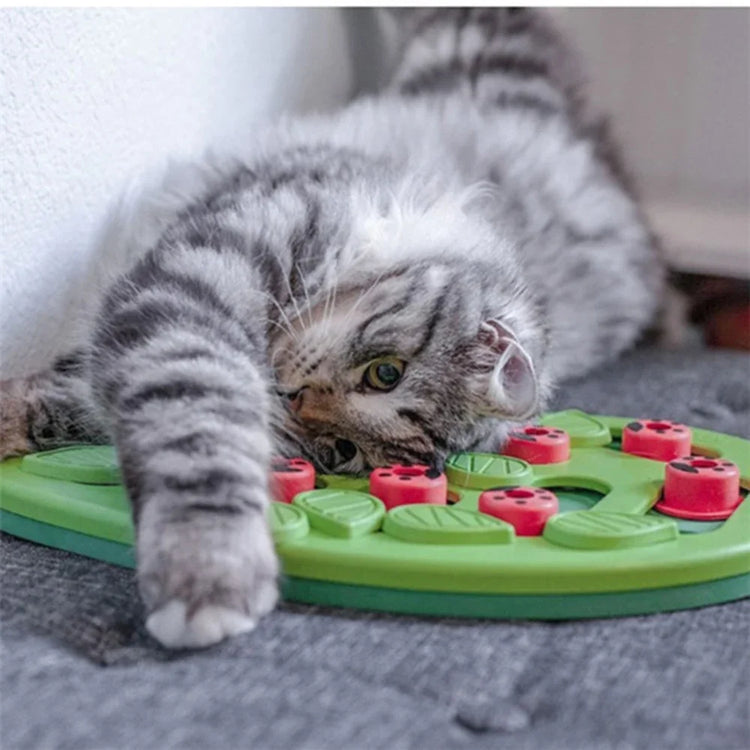 Rainy Day Cat Puzzle Treat Puzzle Scratch Board