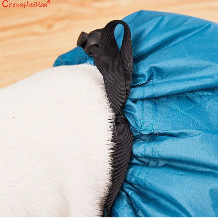 Pet Drying Bag Hair Dryer Cats Dogs Quick Dry Box