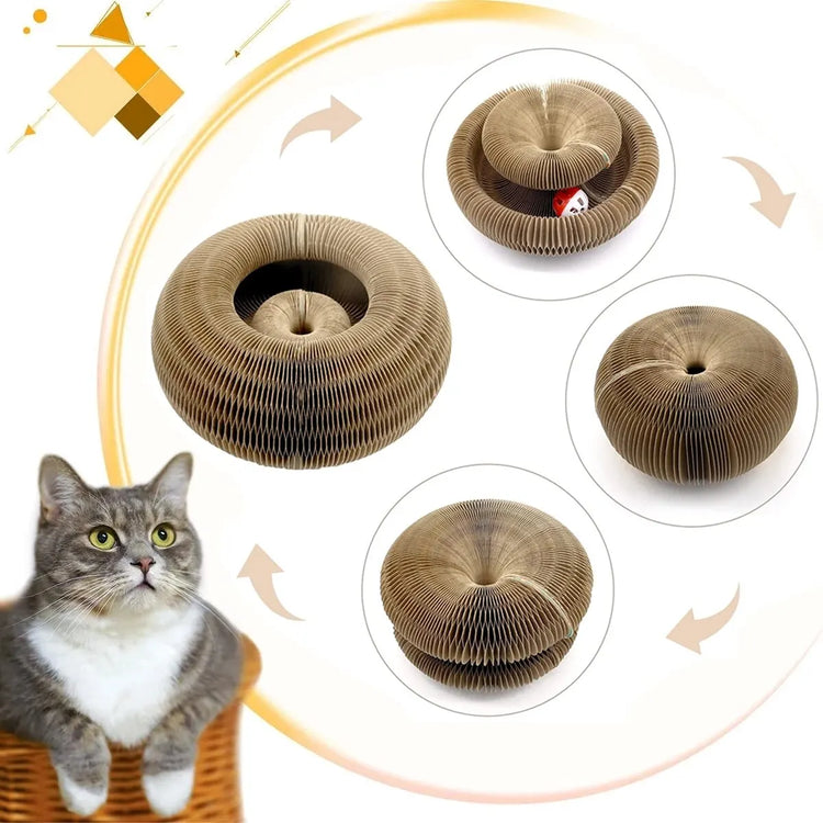 Cat Scratch Board Ball Claw Climbing Kitten Toy