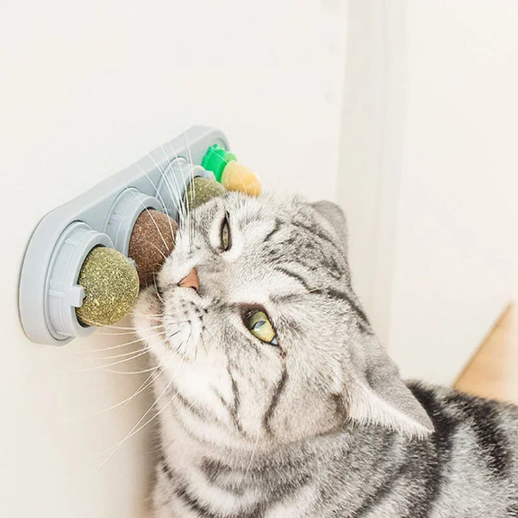 4in1 Rotating Catnip Silvervine Ball Teeth Cleaning Toy Safe