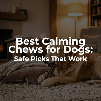 Best Calming Chews for Dogs: Safe Picks That Work