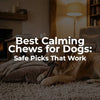 Best Calming Chews for Dogs: Safe Picks That Work