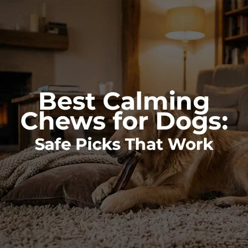 Best Calming Chews for Dogs: Safe Picks That Work