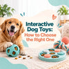 Interactive Dog Toys: How to Choose the Right One