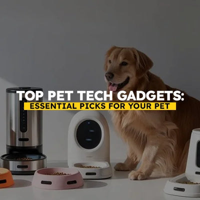 Top Pet Tech Gadgets for 2026: Essential Picks for Your Pet