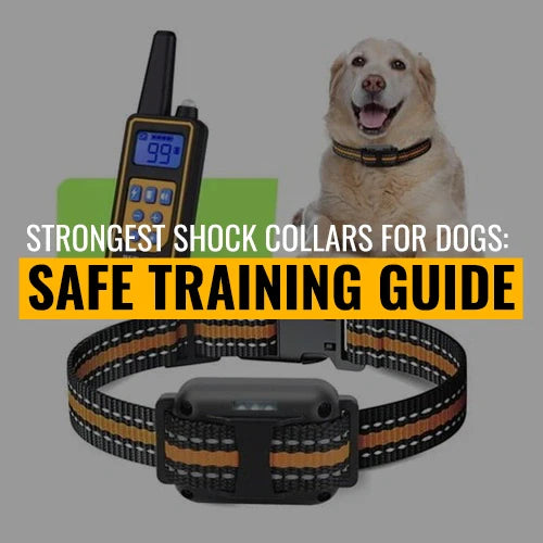 Strongest Shock Collars for Dogs: Safe Training Guide