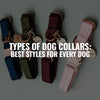 Types of Dog Collars: Best Styles for Every Dog