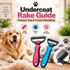 Undercoat Rake Guide: Choose, Use & Control Shedding