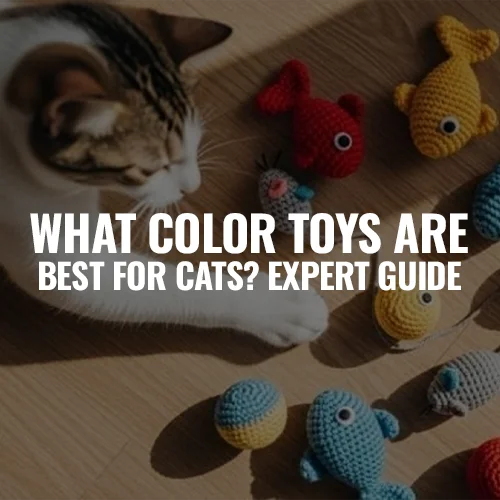 What Color Toys Are Best for Cats? Expert Guide