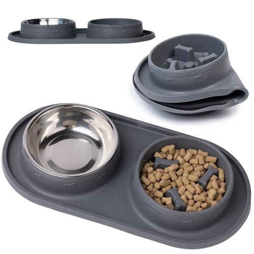 MalsiPree Cat & Dog Slow Feeder Bowl