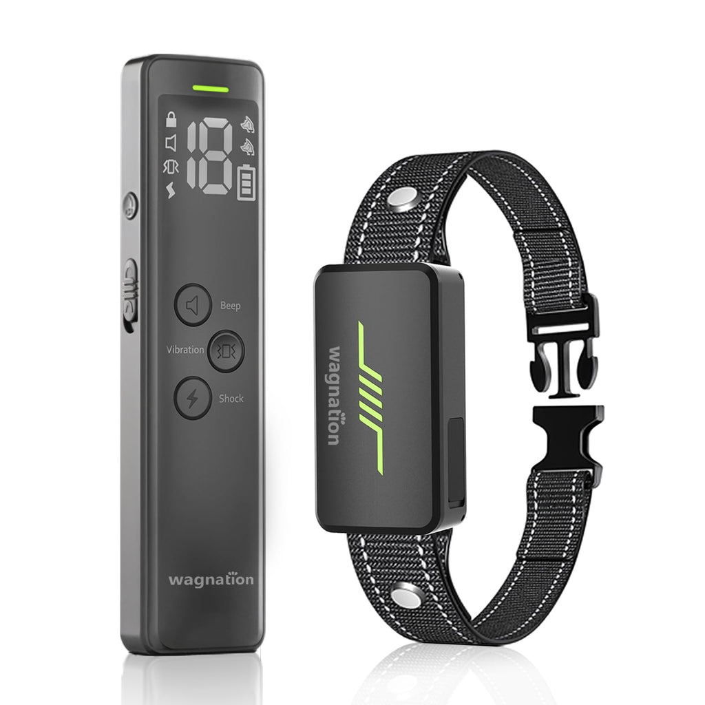 wagnation Shock Collar for Dogs with Remote Control