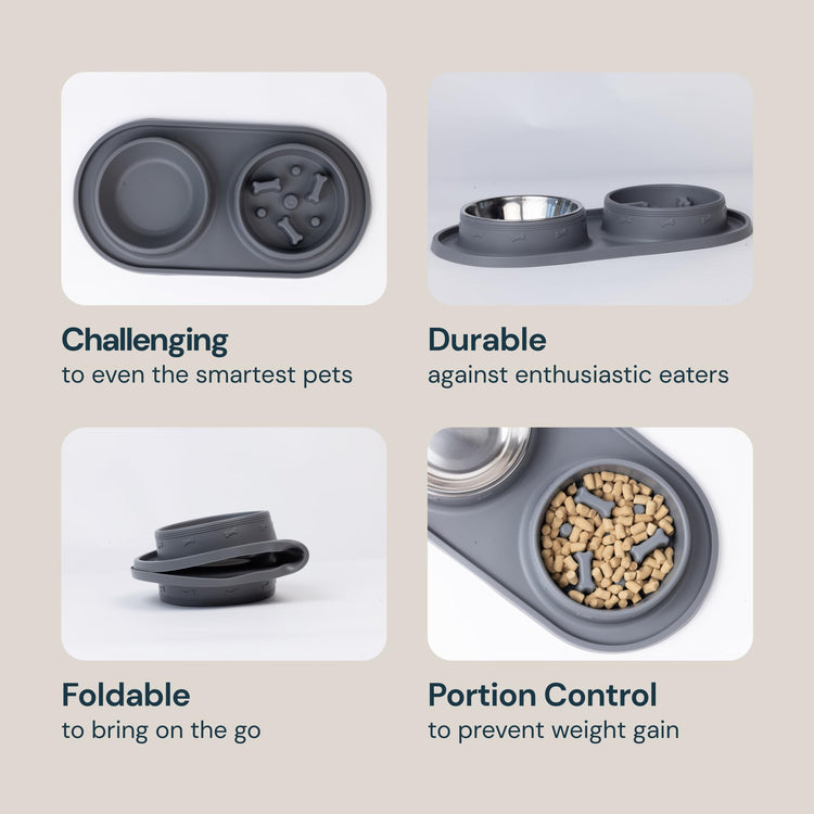 MalsiPree Cat & Dog Slow Feeder Bowl