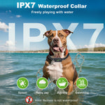 wagnation Shock Collar for Dogs with Remote Control