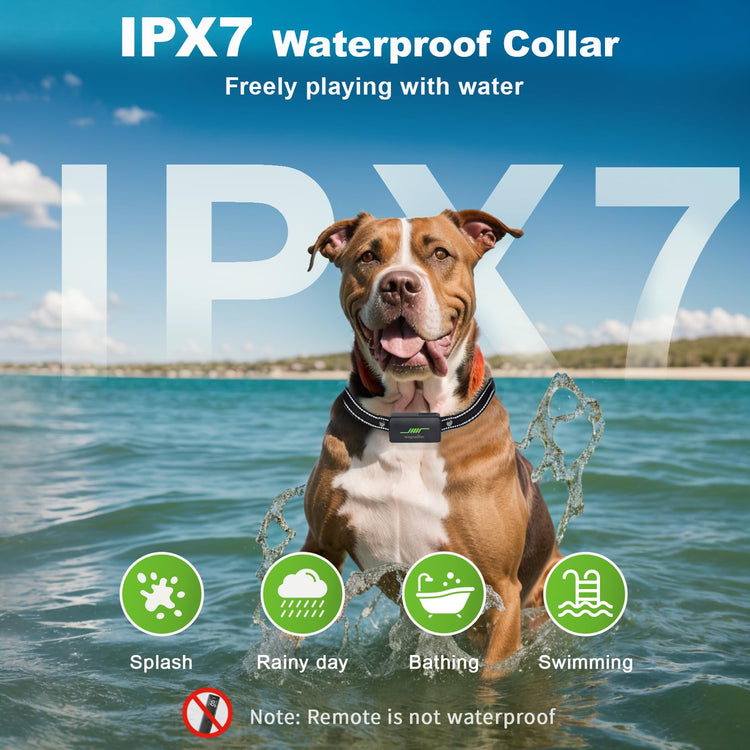 wagnation Shock Collar for Dogs with Remote Control