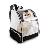Pet Carrier Airline Approved for Small Puppy