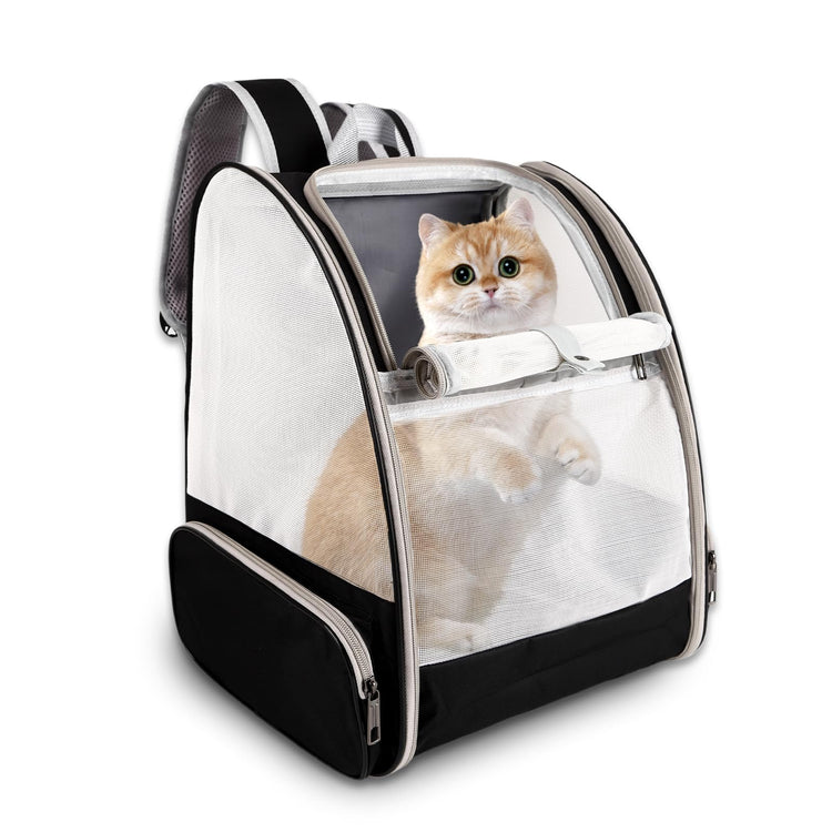 Pet Carrier Airline Approved for Small Puppy