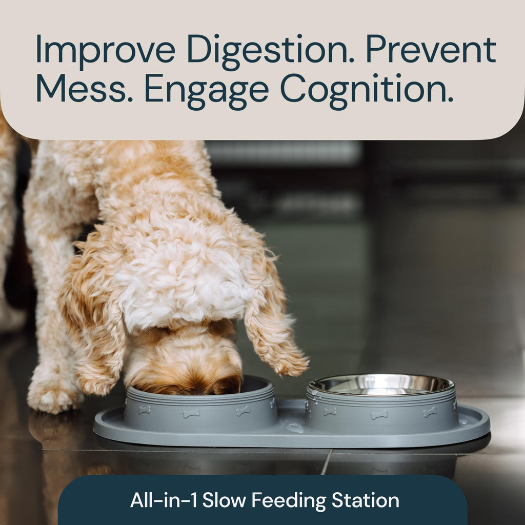 MalsiPree Cat & Dog Slow Feeder Bowl
