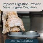 MalsiPree Cat & Dog Slow Feeder Bowl