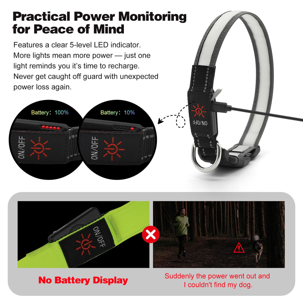 Light Up Dog Collar, Multicolor LED Dog Collar with 7 Lighting Modes