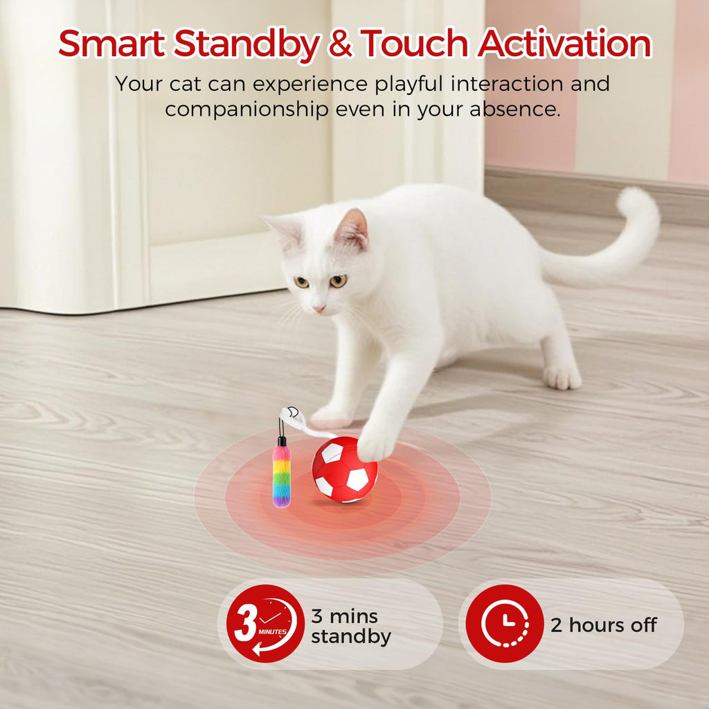 VIWIK  Automatic Motion Activated Kitten Ball Toy