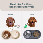 MalsiPree Cat & Dog Slow Feeder Bowl