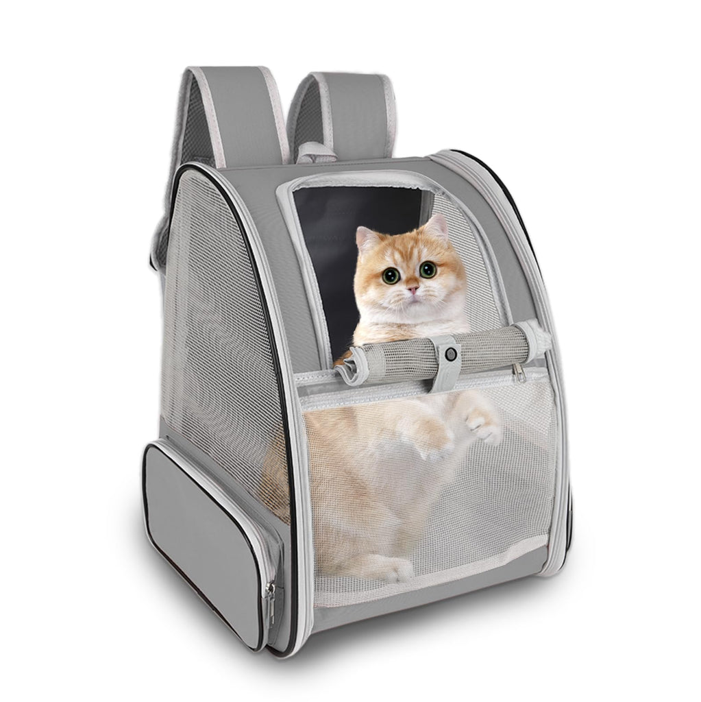 Pet Carrier Airline Approved for Small Puppy