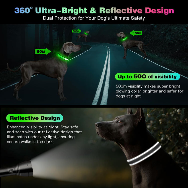 Light Up Dog Collar, Multicolor LED Dog Collar with 7 Lighting Modes