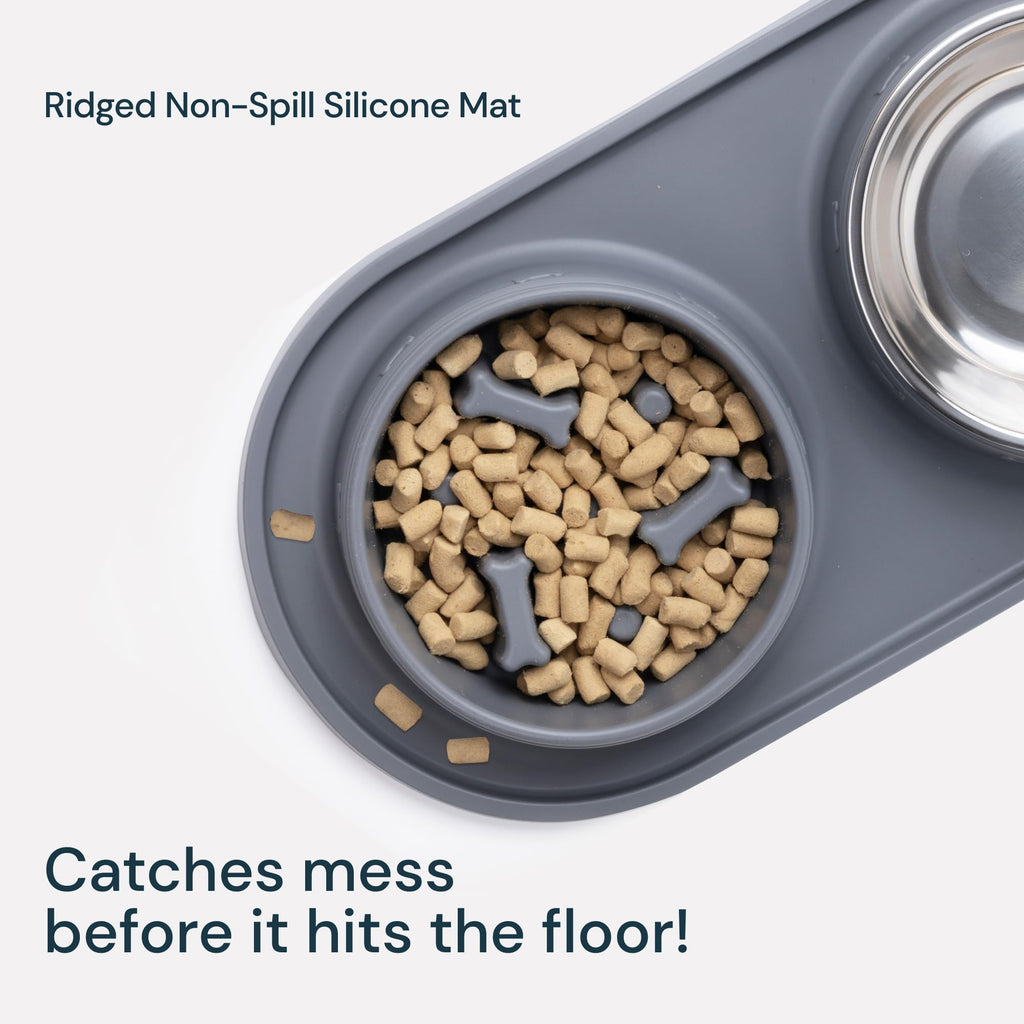 MalsiPree Cat & Dog Slow Feeder Bowl