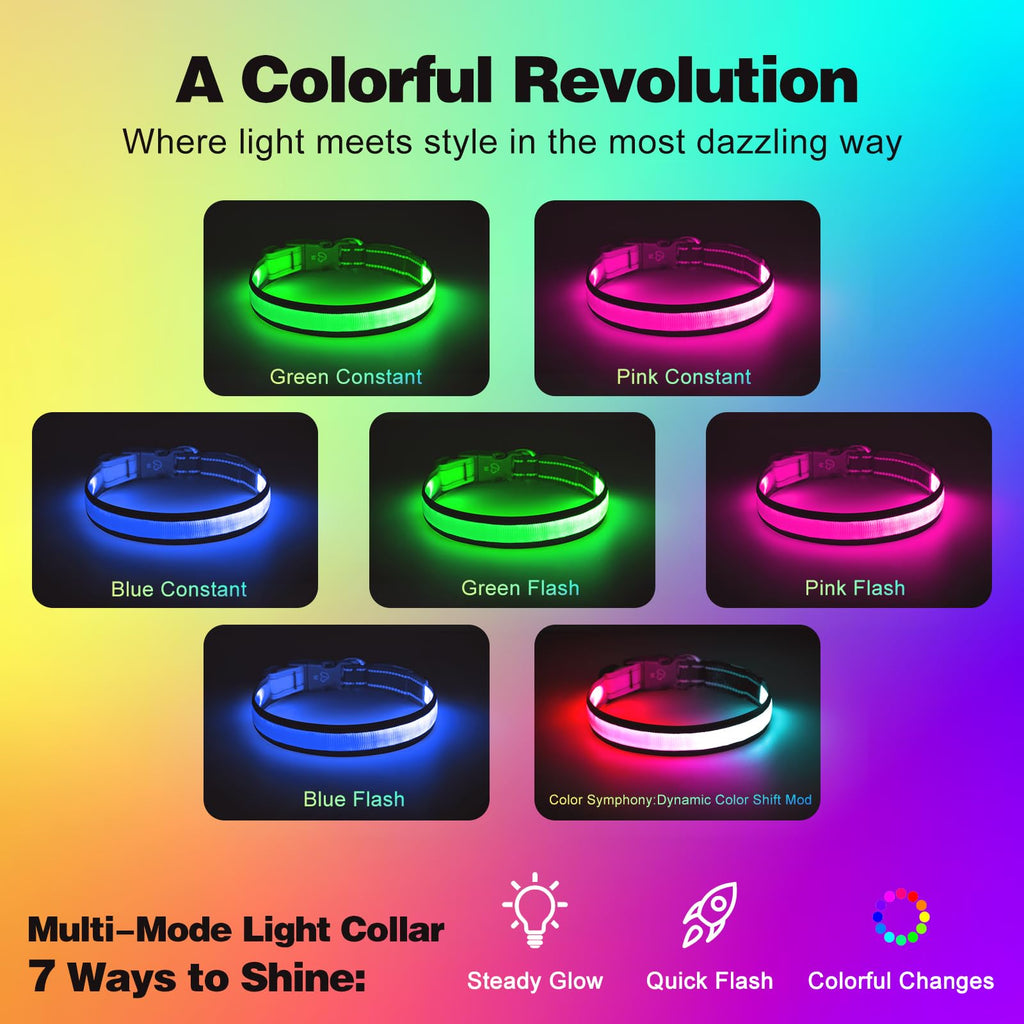 Light Up Dog Collar, Multicolor LED Dog Collar with 7 Lighting Modes
