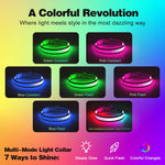 Light Up Dog Collar, Multicolor LED Dog Collar with 7 Lighting Modes