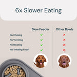 MalsiPree Cat & Dog Slow Feeder Bowl