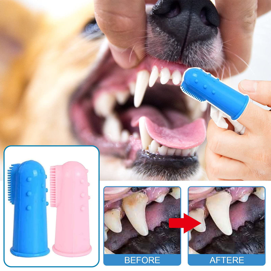 Qubccum 8 Pack Small Dog & Cat Toothbrush Kit
