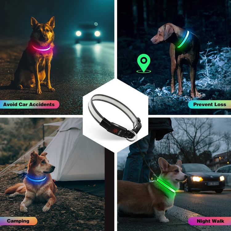 Light Up Dog Collar, Multicolor LED Dog Collar with 7 Lighting Modes