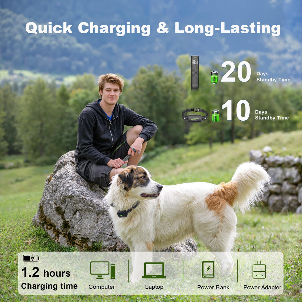 wagnation Shock Collar for Dogs with Remote Control