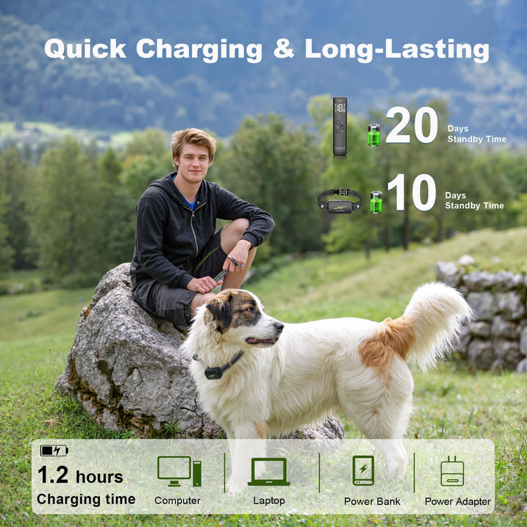 wagnation Shock Collar for Dogs with Remote Control