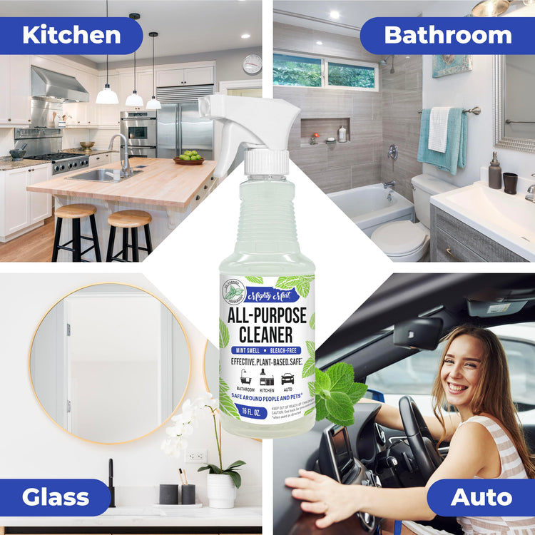 Mighty Mint Stain & Odor Remover from Pets, 16oz