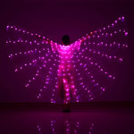 LED Wings Belly Dance Wings Isis Halloween Wings Prop Shining LED Lamp Wings Belly Dance Costumes Accessories Sticks Adult Child