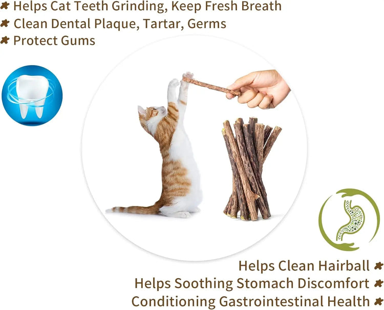 Silvervine Sticks Cat Chew Dental Cleaning Kitten Toy