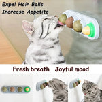 4in1 Rotating Catnip Silvervine Ball Teeth Cleaning Toy Safe