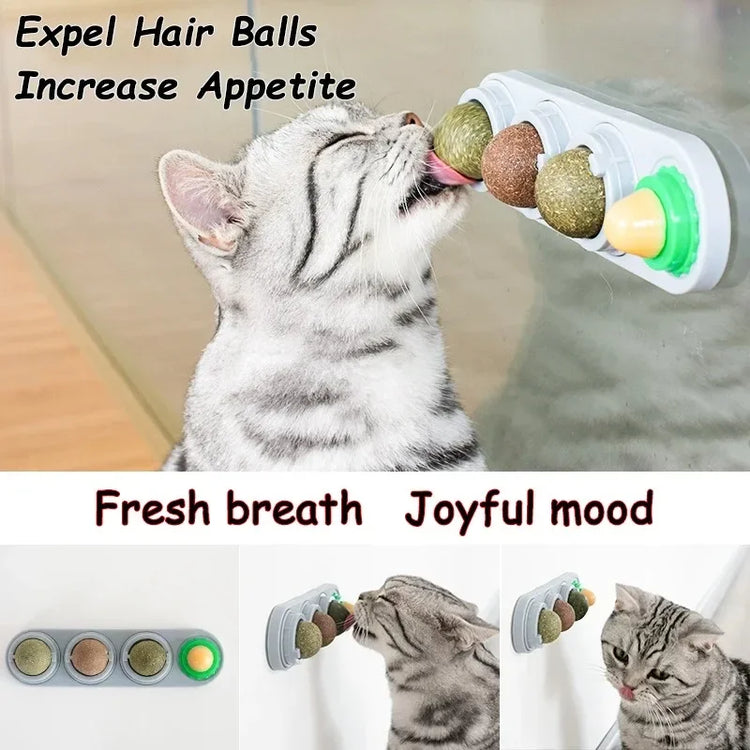4in1 Rotating Catnip Silvervine Ball Teeth Cleaning Toy Safe