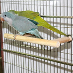 Wooden Bird Perch Stand Parrot Play Toys Supplies