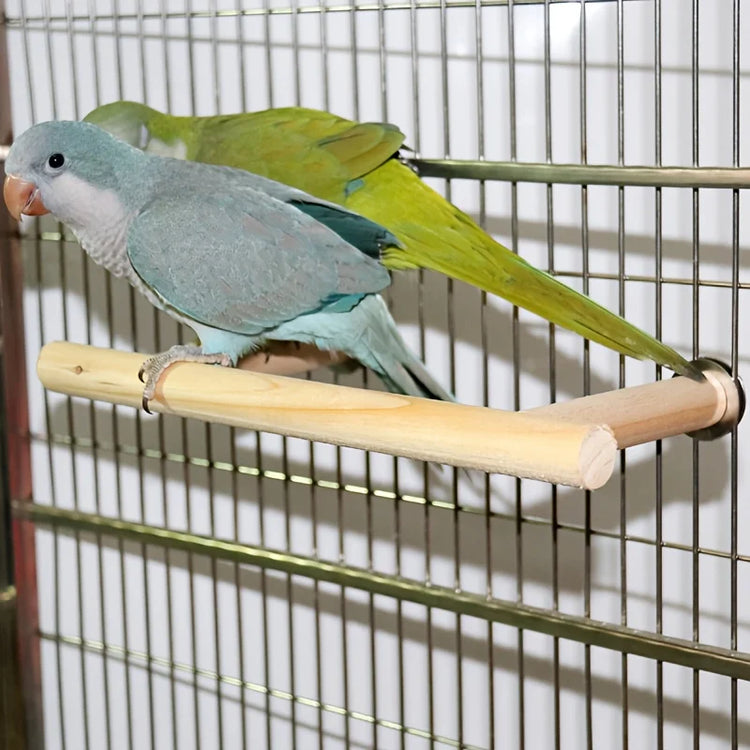 Wooden Bird Perch Stand Parrot Play Toys Supplies
