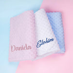 Custom Name Pet Blanket Soft Minky Dog Travel Mat