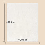 Custom Name Pet Blanket Soft Minky Dog Travel Mat