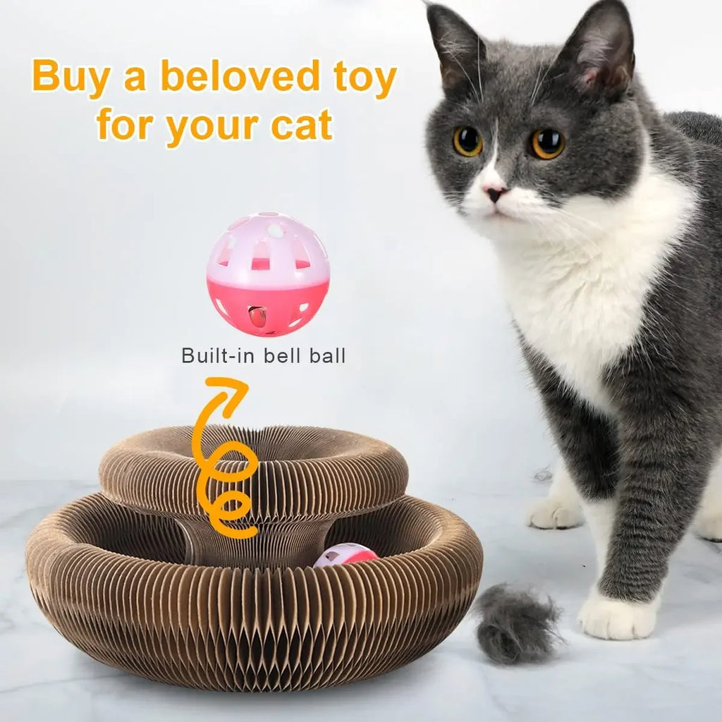 Cat Scratch Board Ball Claw Climbing Kitten Toy