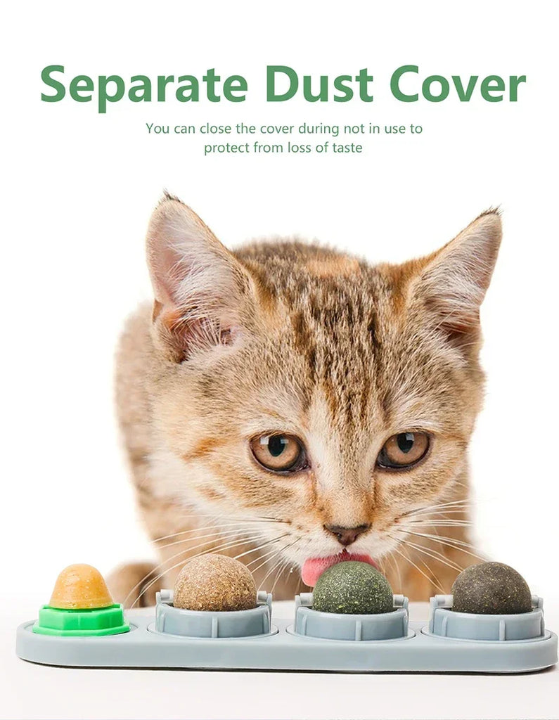 4in1 Rotating Catnip Silvervine Ball Teeth Cleaning Toy Safe